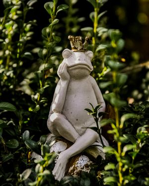 Frog with Crown